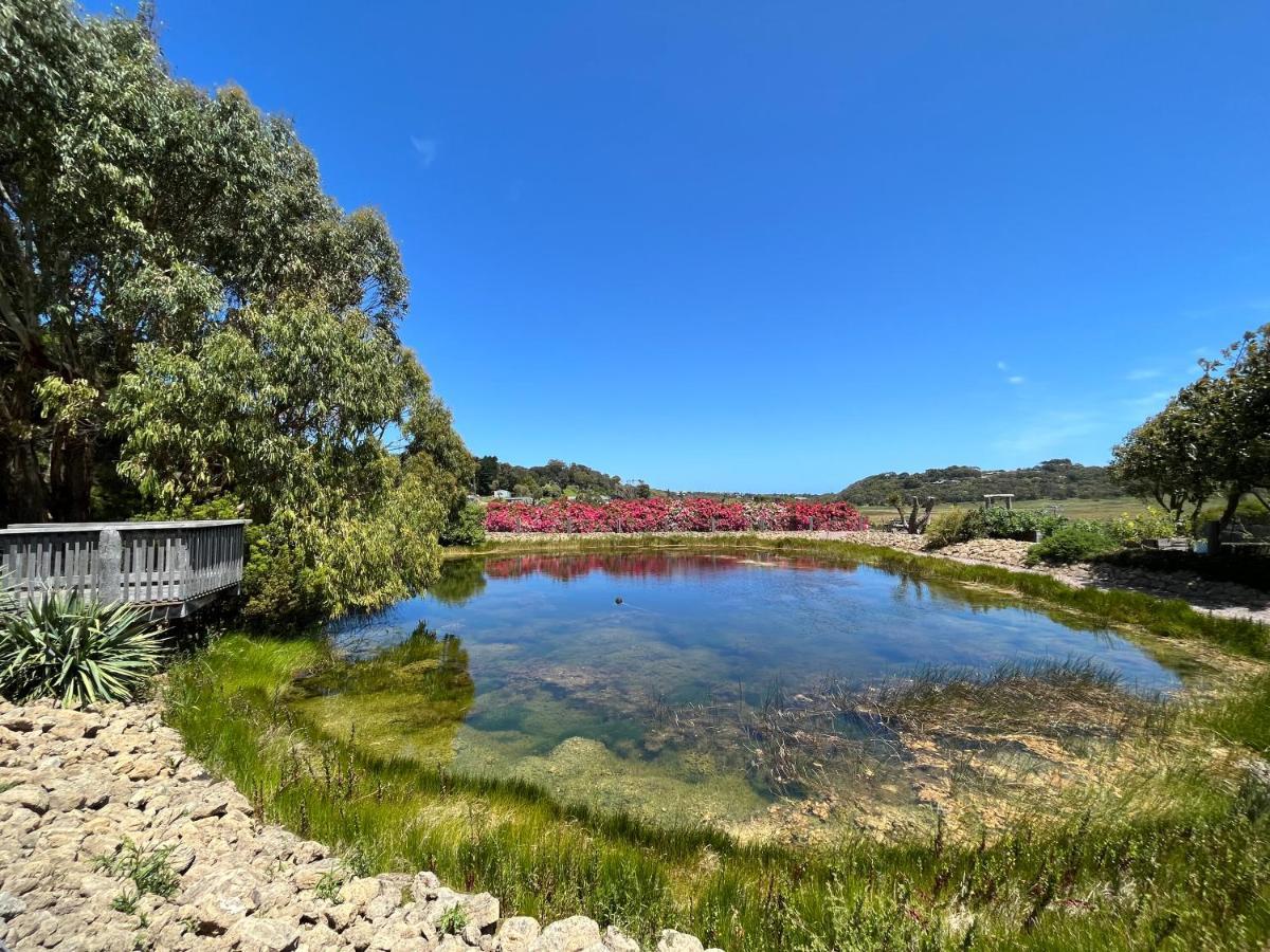 פורט קאמפבל Daysy Hill Country Cottages מראה חיצוני תמונה