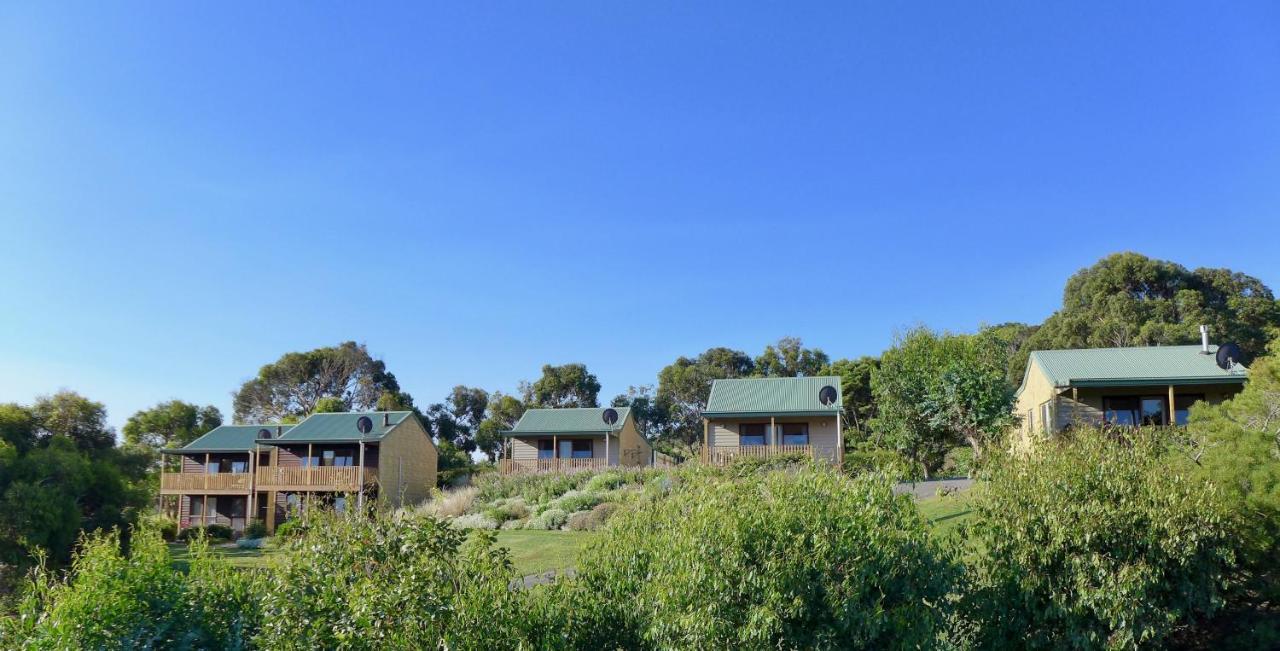 פורט קאמפבל Daysy Hill Country Cottages מראה חיצוני תמונה