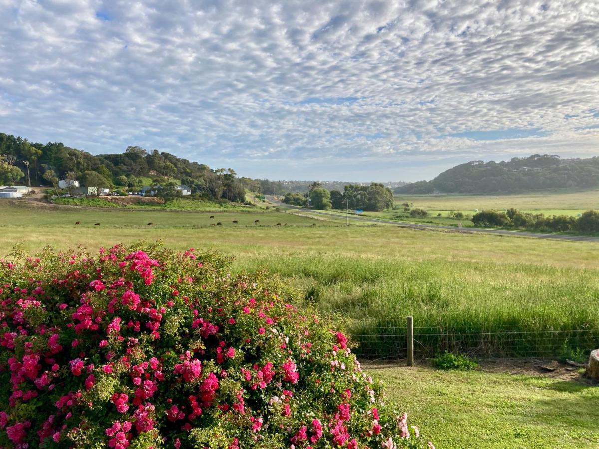 פורט קאמפבל Daysy Hill Country Cottages מראה חיצוני תמונה
